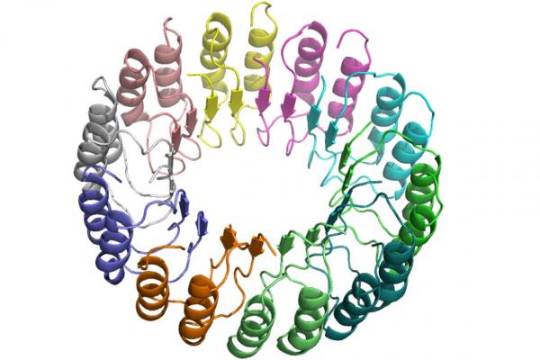 Computational design of a leucine-rich repeat protein with a predefined geometry